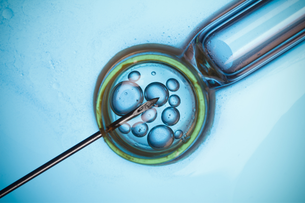 IVF Process in Mumbai